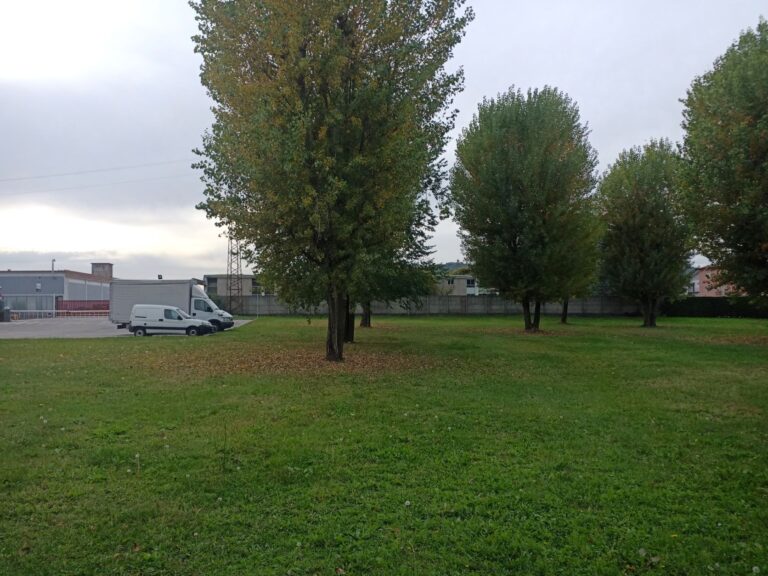 Il giardino di Doraluce. Parte del parco vicina alla fabbrica